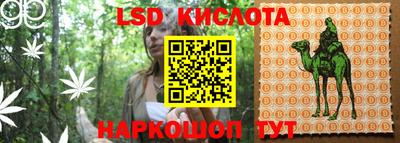 a pvp Бердск