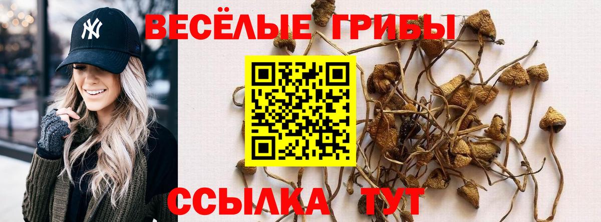 Псилоцибиновые грибы Cubensis  Галлюциногенные грибы мухоморы  Вход с VPN  Елабуга 
